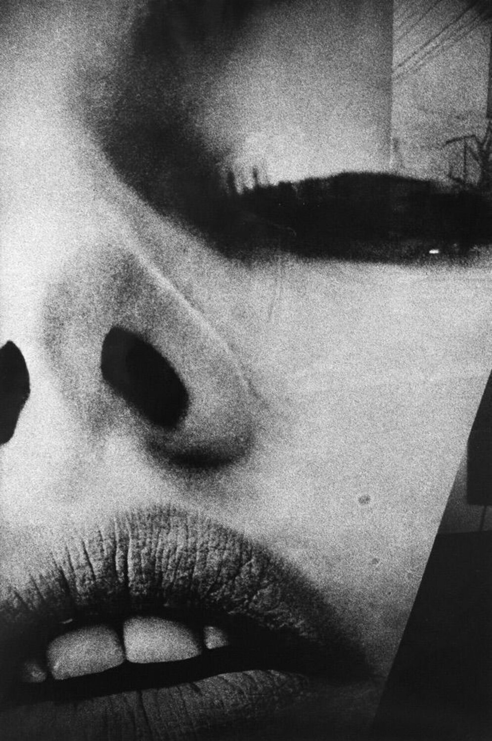 Eros or Something other than Eros Daido Moriyama Fotografie zu verkaufen