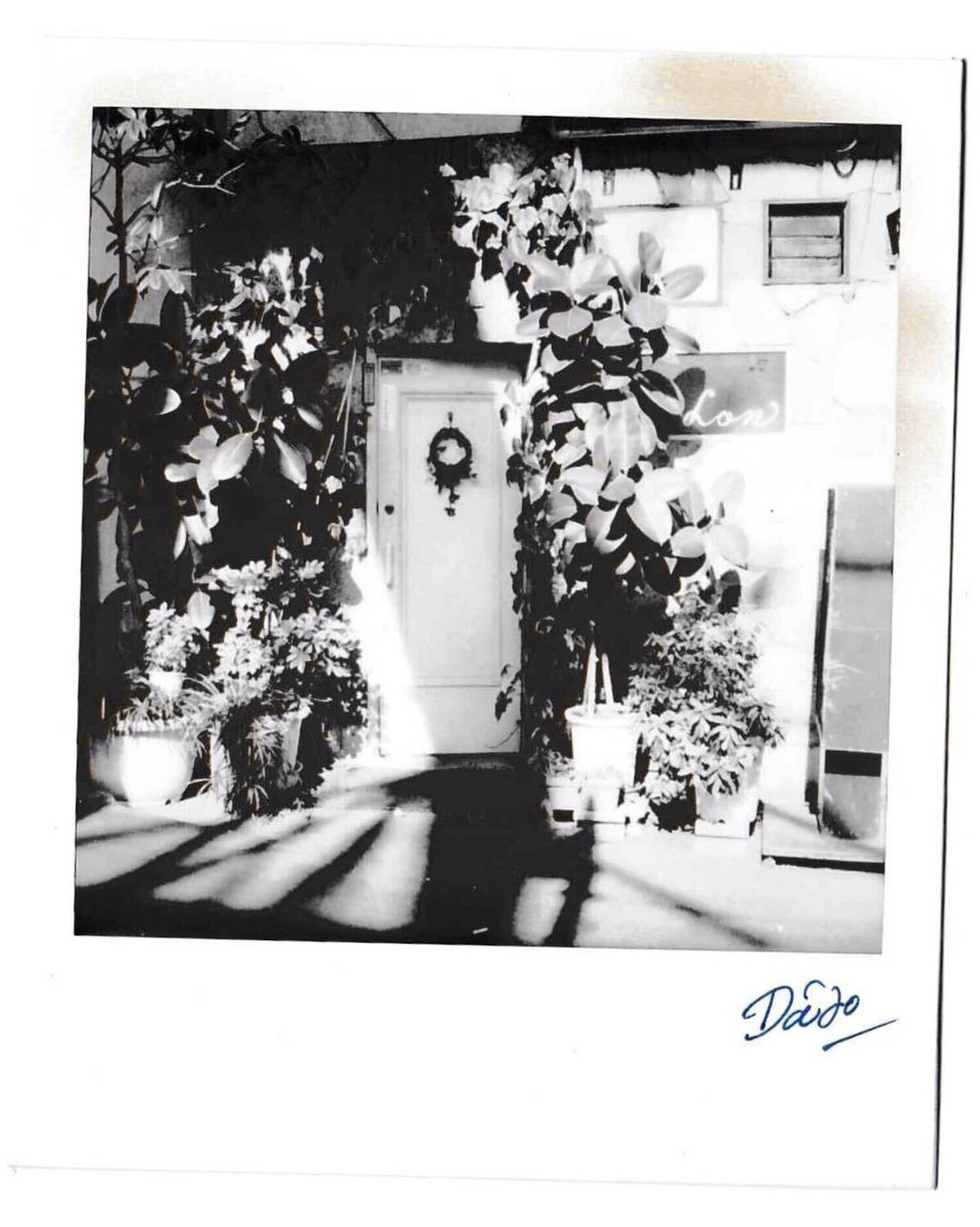 Untitled (Mistletoe Ring) Daido Moriyama Fotografie te koop