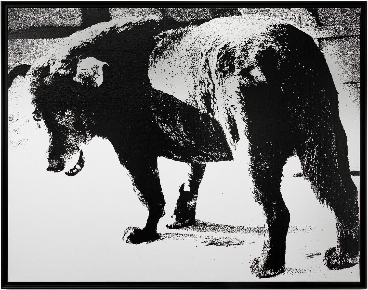 Misawa Daido Moriyama Fotografie te koop