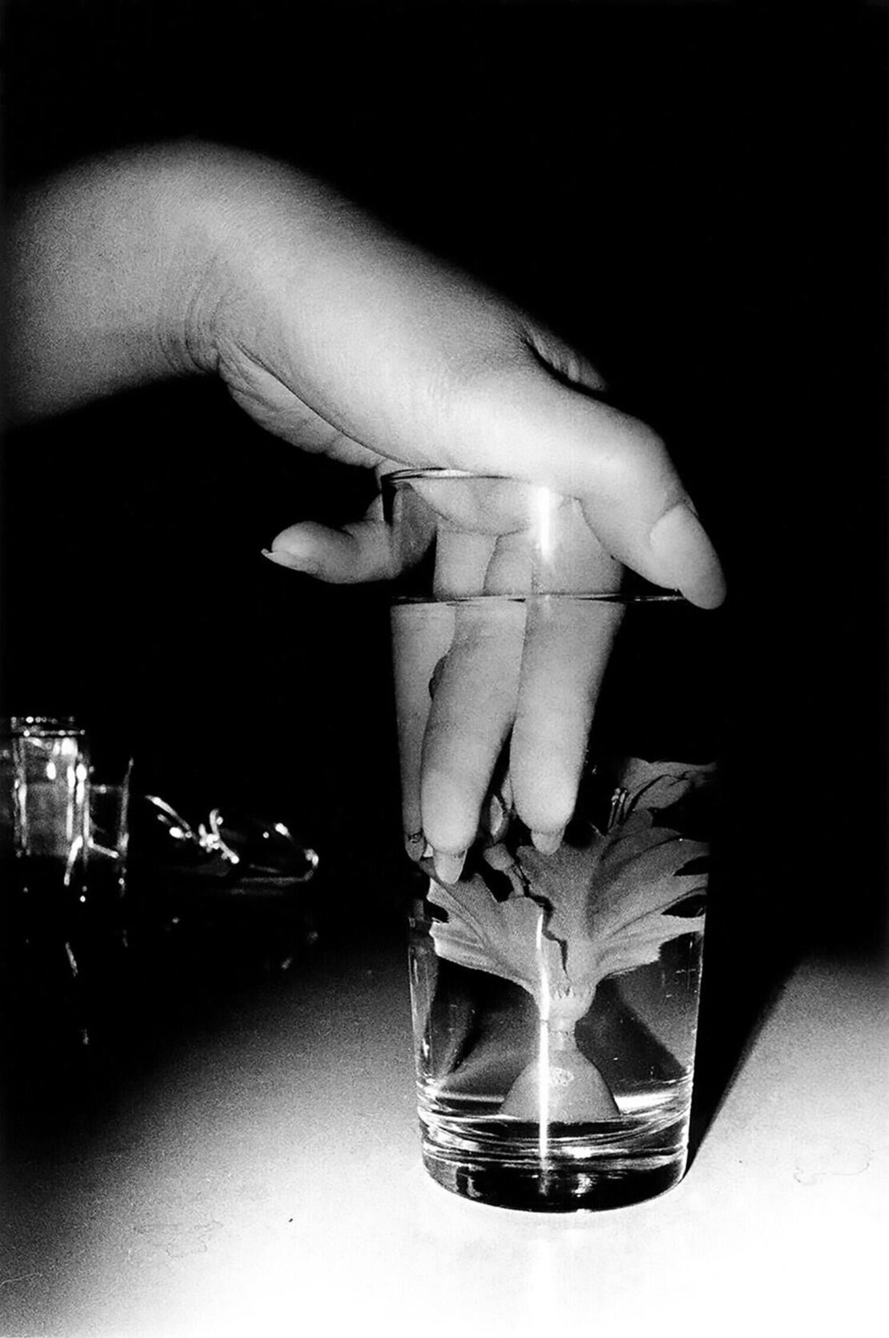 Daido Moriyama Water Flower Tokyo 1990 Daido Moriyama Fotografie zu verkaufen