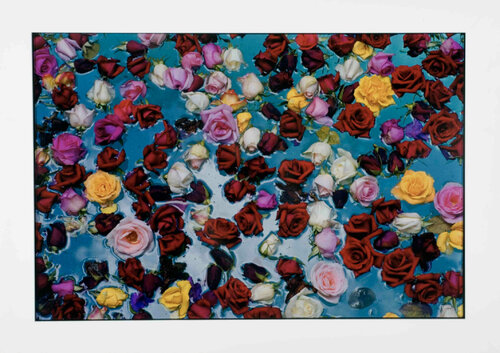 Flowers in Water van David Bailey, Fotografie te koop op Singulart