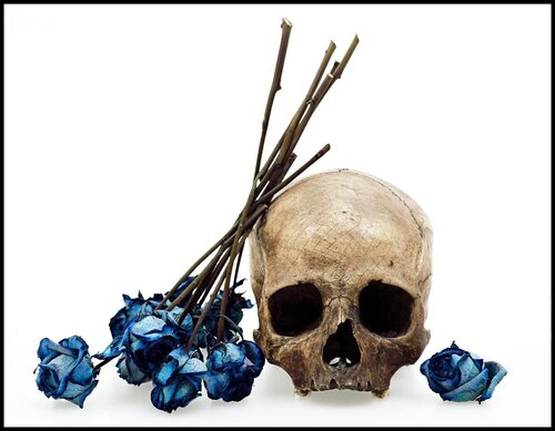 Skull and Blue Rose van David Bailey, Fotografie te koop op Singulart