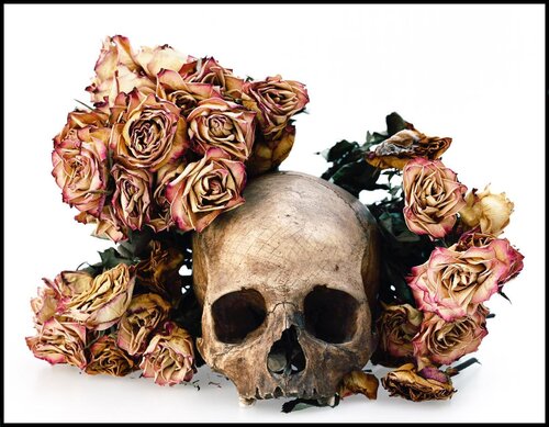 Skull with Pink Flowers van David Bailey, Fotografie te koop op Singulart