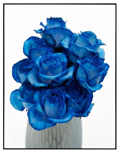 Blue Flowers van David Bailey, Fotografie te koop op Singulart