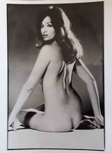 David Bailey