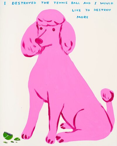 I Destroyed the Tennis Ball di David Shrigley, Stampa in vendita su Singulart