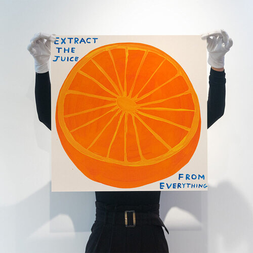 Extract The Juice From Everything di David Shrigley, Stampa in vendita su Singulart