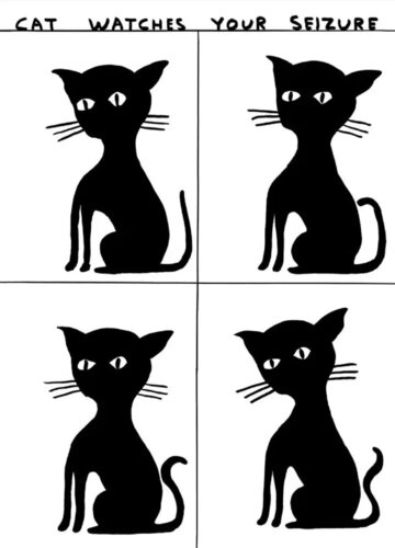 Cat Watches Your Seizure di David Shrigley, Stampa in vendita su Singulart