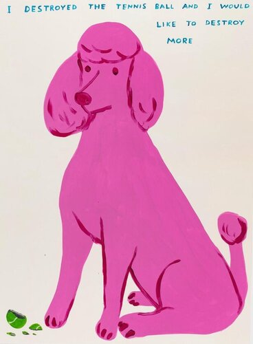 I Destroyed the Tennis Ball di David Shrigley, Stampa in vendita su Singulart