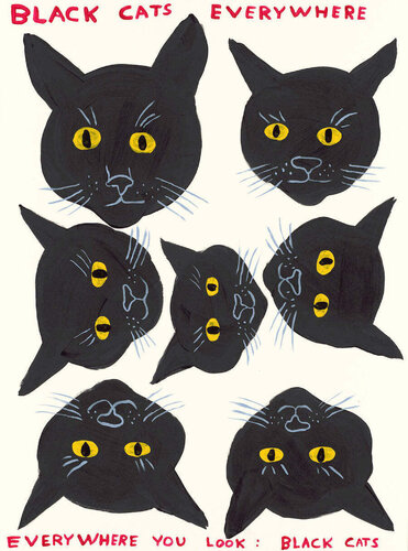 Black Cats Everywhere di David Shrigley, Stampa in vendita su Singulart