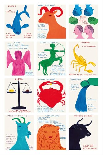 David Shrigley Signs of the Zodiac di David Shrigley, Stampa in vendita su Singulart