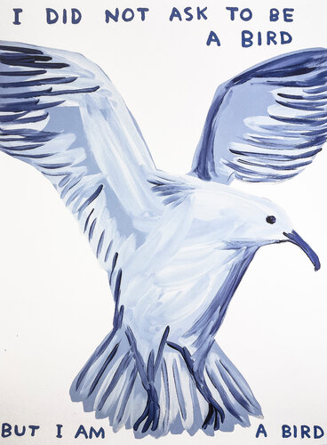 I Did Not Ask To Be a Bird di David Shrigley, Stampa in vendita su Singulart