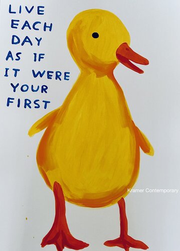 Live each day as if it were your first par David Shrigley, Édition en vente sur Singulart