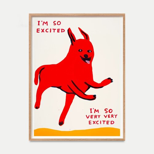 I'm So Excited par David Shrigley, Édition en vente sur Singulart