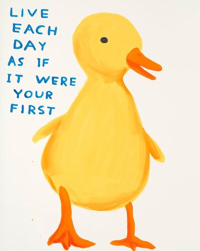 Live Each Day As If It Were Your First di David Shrigley, Stampa in vendita su Singulart