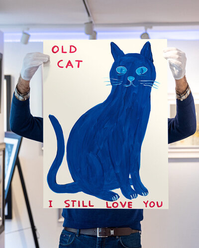 Old Cat van David Shrigley, Afdruk te koop op Singulart