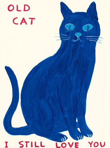 Old Cat di David Shrigley, Stampa in vendita su Singulart