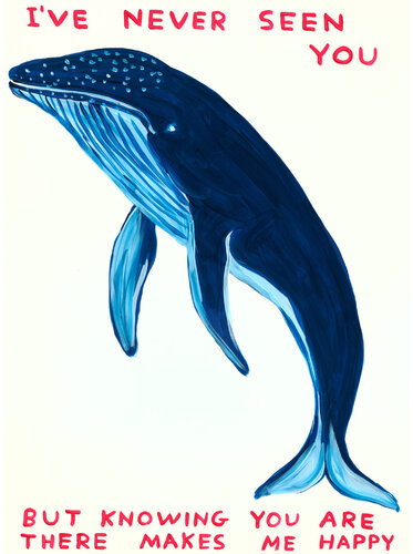 I've Never Seen You di David Shrigley, Stampa in vendita su Singulart