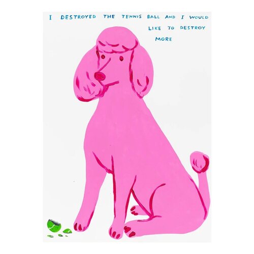 I Destroyed The Tennis Ball par David Shrigley, Édition en vente sur Singulart