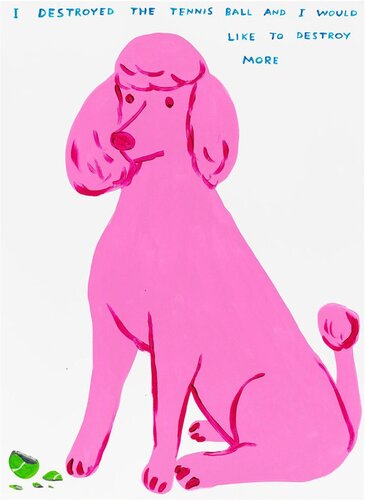 I Destroyed The Tennis Ball par David Shrigley, Édition en vente sur Singulart