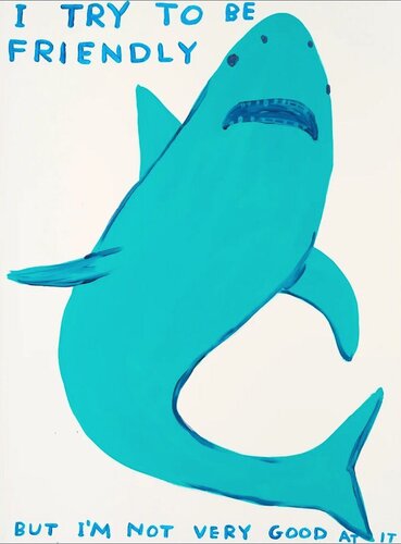 I Try To Be Friendly par David Shrigley, Édition en vente sur Singulart