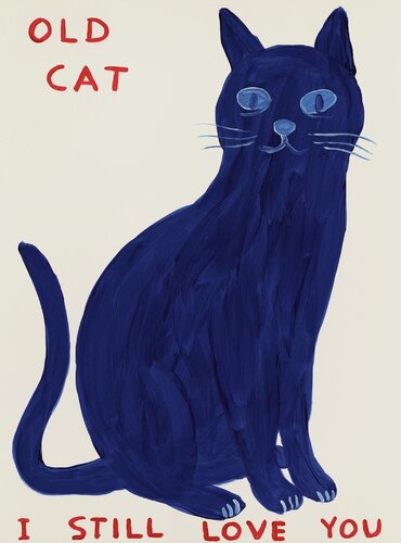 Old Cat van David Shrigley, Afdruk te koop op Singulart