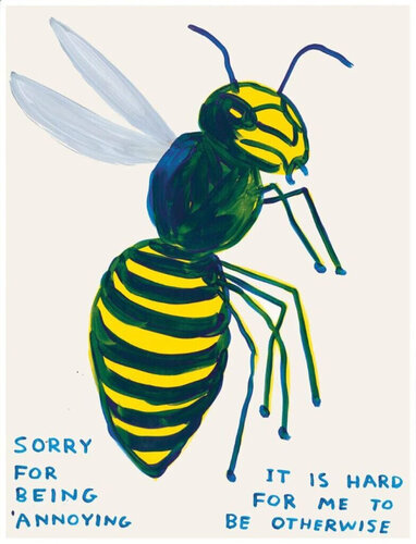 Sorry For Being Annoying (Wasp) von David Shrigley, Druck kaufen auf Singulart
