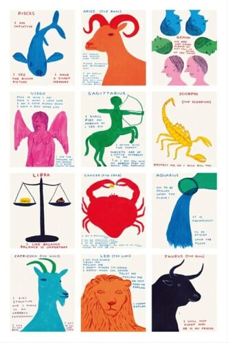 David Shrigley Signs of the Zodiac di David Shrigley, Stampa in vendita su Singulart