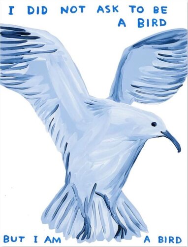 I Did Not Ask To Be A Bird van David Shrigley, Afdruk te koop op Singulart