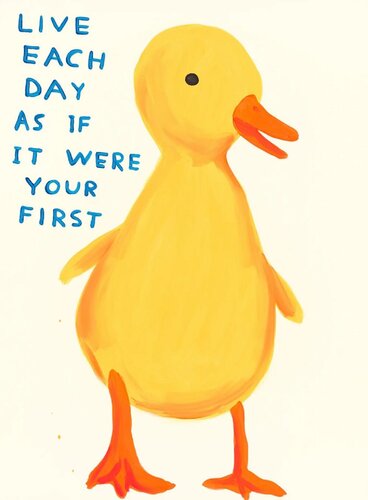Live Each Day as If It Were Your First van David Shrigley, Afdruk te koop op Singulart