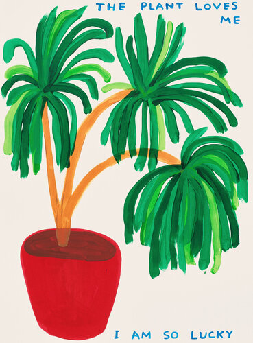 The Plant Loves Me van David Shrigley, Afdruk te koop op Singulart