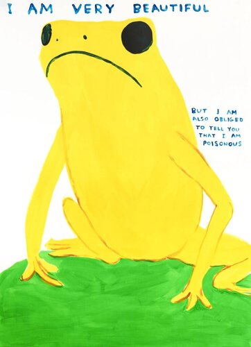 I Am Very Beautiful di David Shrigley, Stampa in vendita su Singulart