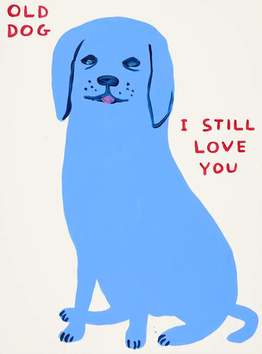 Old Dog par David Shrigley, Édition en vente sur Singulart