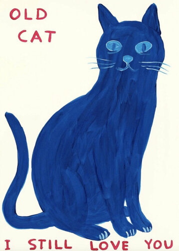Old Cat I Still Love You par David Shrigley, Édition en vente sur Singulart