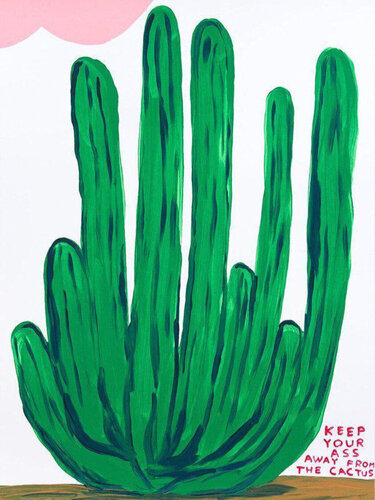 Keep Your Ass Away From the Cactus par David Shrigley, Édition en vente sur Singulart