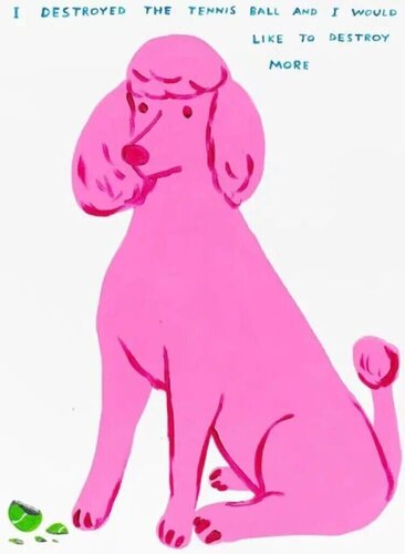 I Destroyed The Tennis Ball di David Shrigley, Stampa in vendita su Singulart