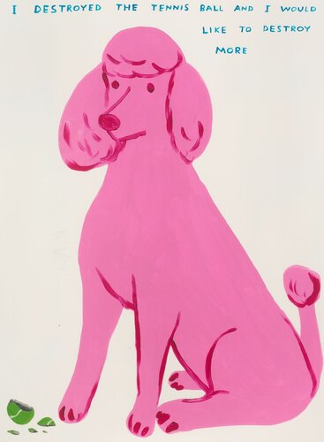 I Destroyed The Tennis Ball van David Shrigley, Afdruk te koop op Singulart