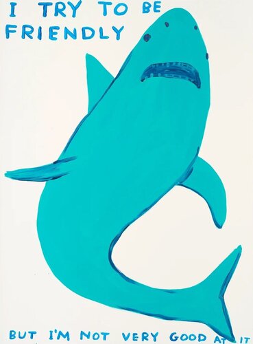 I Try To Be Friendly di David Shrigley, Stampa in vendita su Singulart
