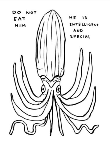 Do not eat him di David Shrigley, Stampa in vendita su Singulart