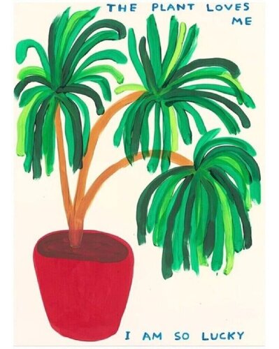 The Plant Loves Me by David Shrigley, Print for Sale on Singulart