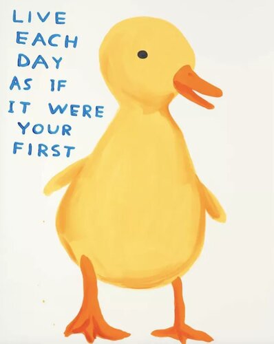 Live Each Day As If It Were Your First by David Shrigley, Print for Sale on Singulart