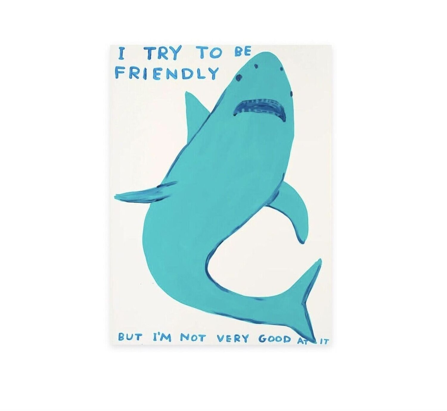 I Try To Be Friendly David Shrigley Print for sale