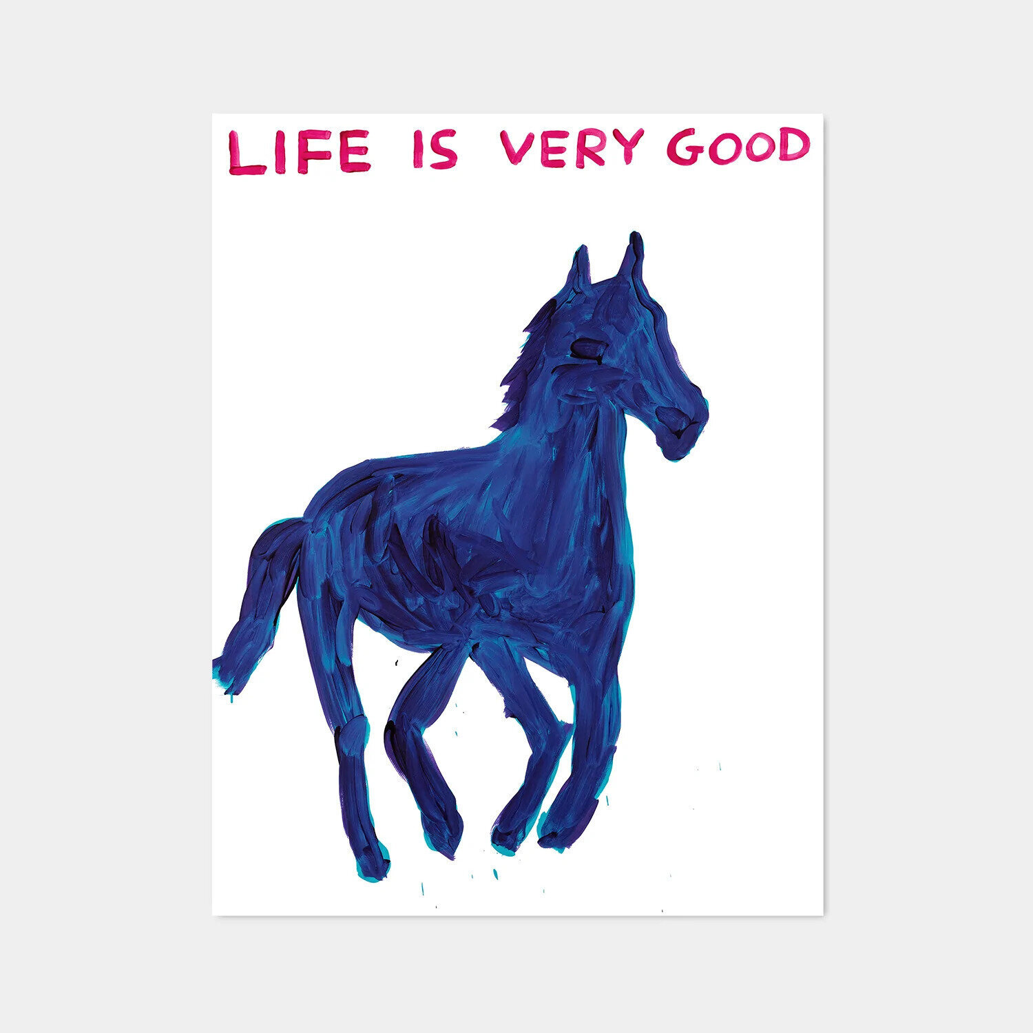 LIFE IS VERY GOOD David Shrigley Stampa in vendita