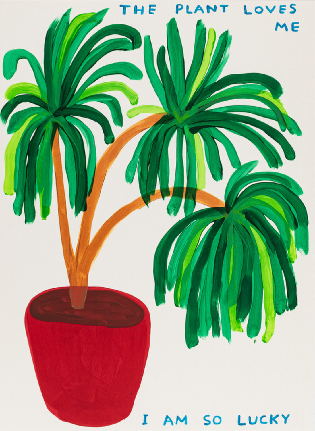 The Plant Loves Me I Am So Lucky David Shrigley Stampa in vendita