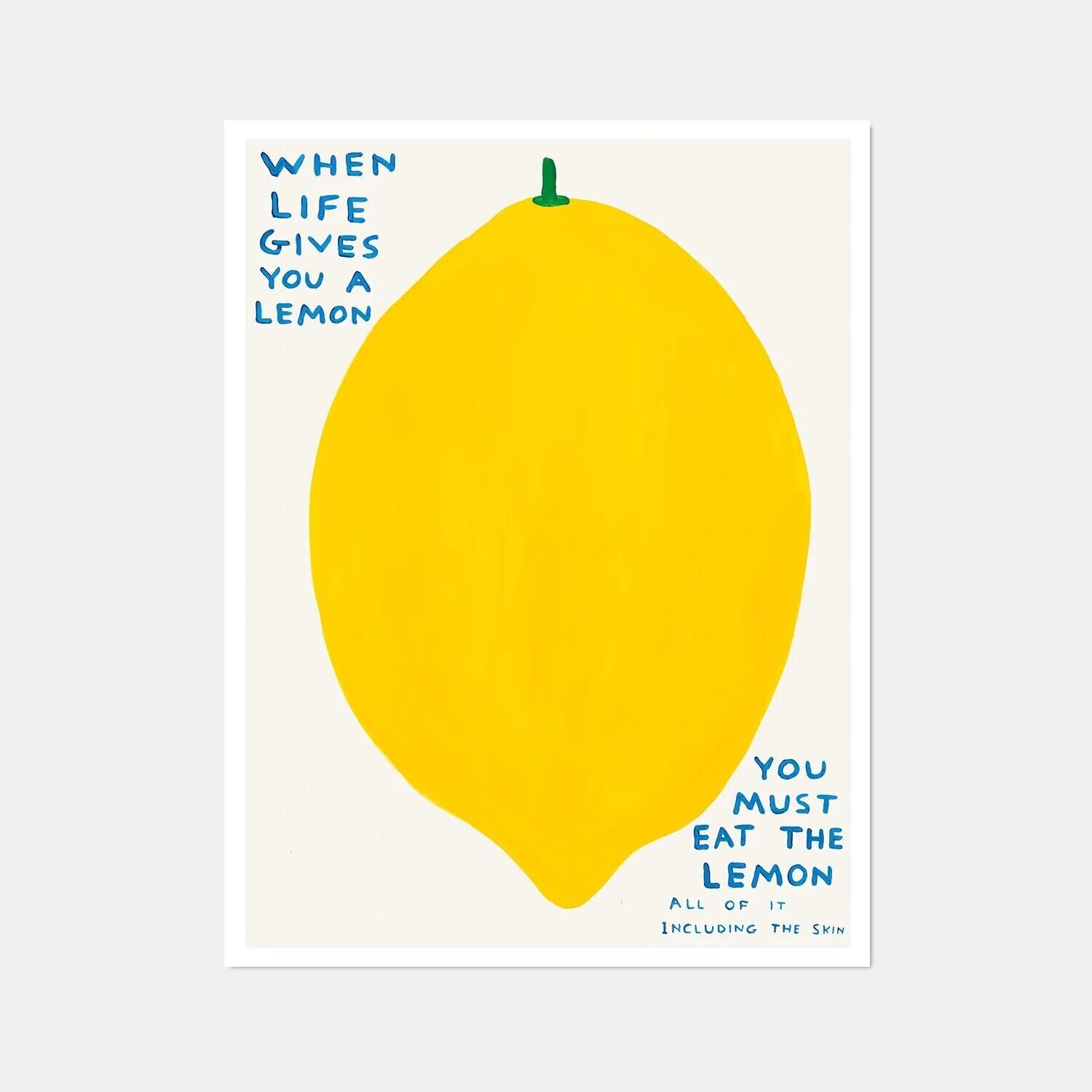 When Life Gives You A Lemon David Shrigley Stampa in vendita