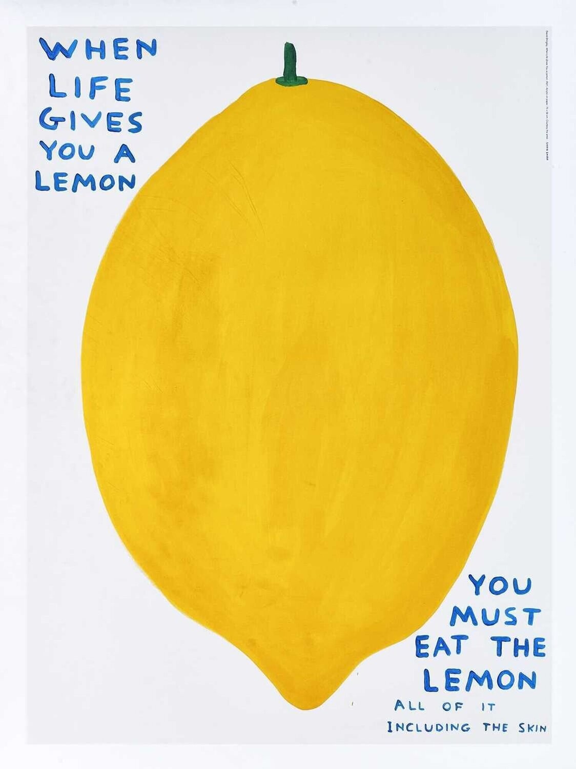 When life gives you a lemon David Shrigley Stampa in vendita