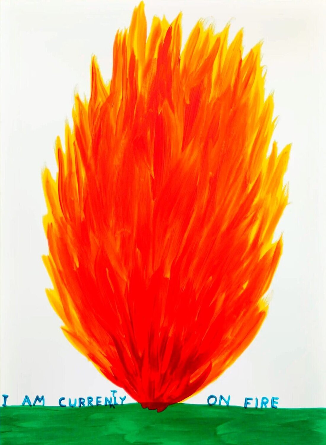 I Am Currently On Fire David Shrigley Druck zu verkaufen