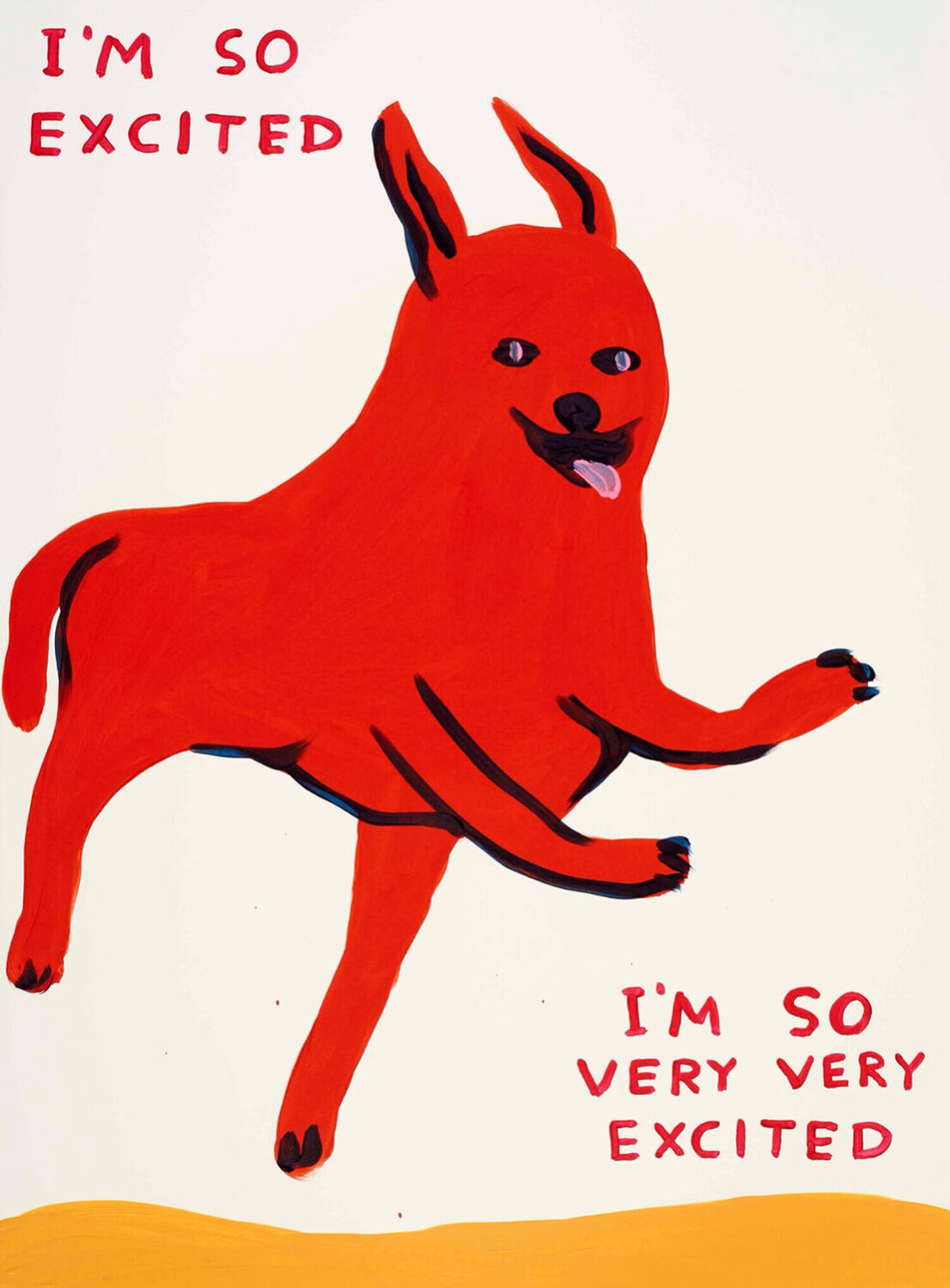 I'm So Excited David Shrigley Afdruk te koop