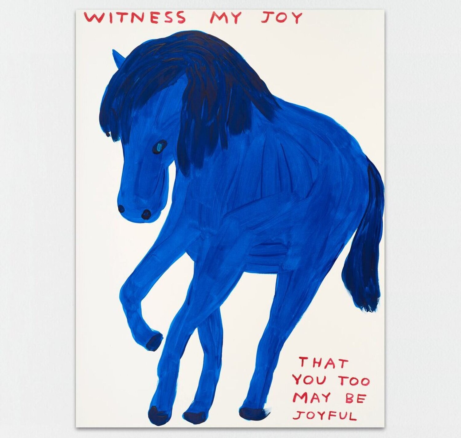Witness My Joy David Shrigley Stampa in vendita