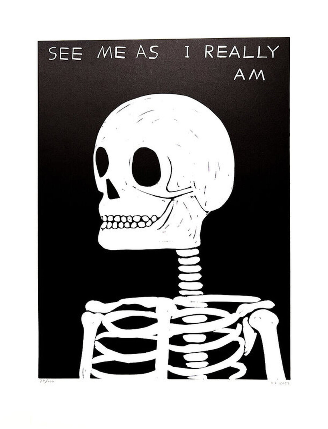 See Me As I Really Am David Shrigley Stampa in vendita